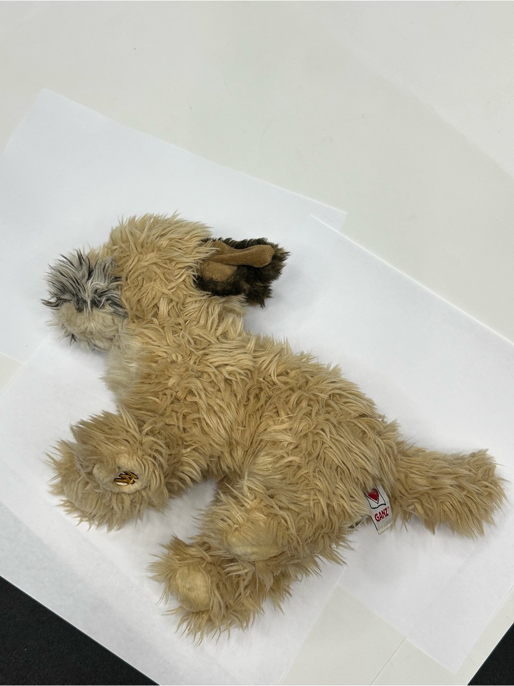 Webkinz Signature Border Terrier